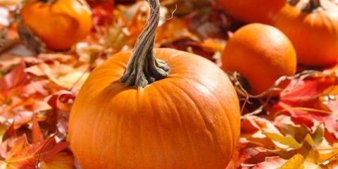 Bundeva za dijabetes: koristi i štete, da li je moguće jesti